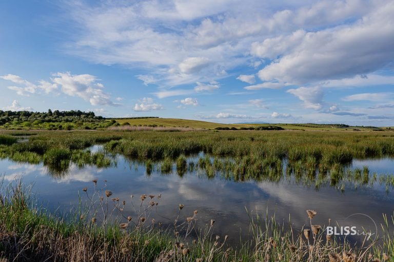 Wetlands und Birdwatching – Eco-Tourismus in Griechenland